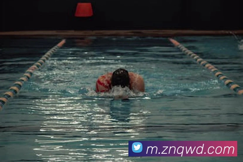 问鼎娱乐平台生态图